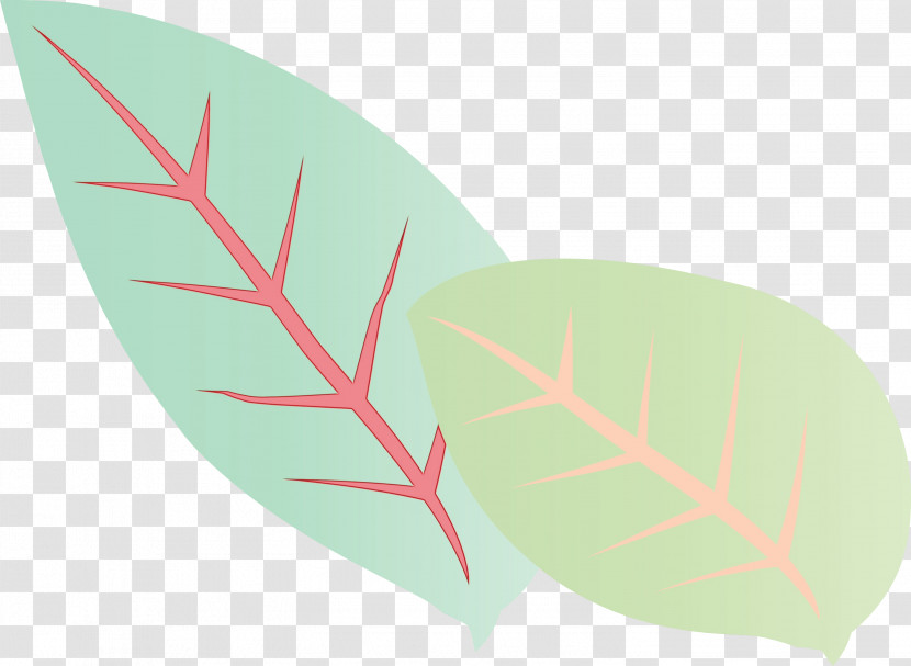 Leaf Green Font Meter Plant Structure Transparent PNG