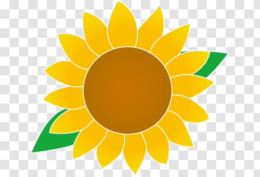 Royalty-free Common Sunflower - Symmetry - Yellow Transparent PNG