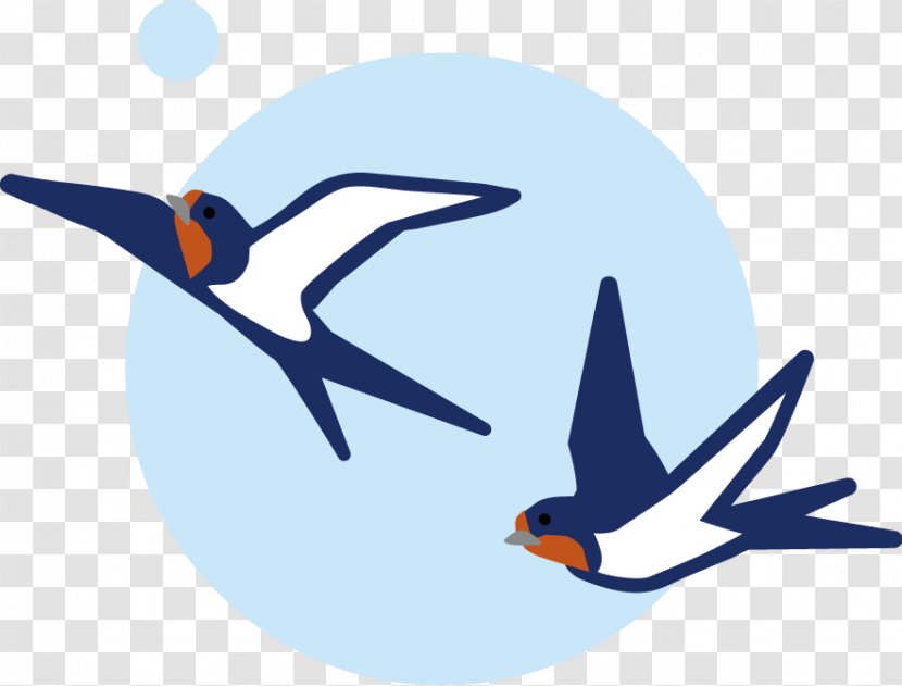 Barn Swallow Edible Bird's Nest Fledge Season - Wing - Blog Transparent PNG