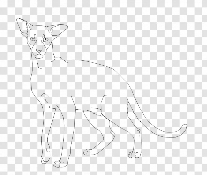 Whiskers Cat Lion Red Fox Dog Transparent PNG