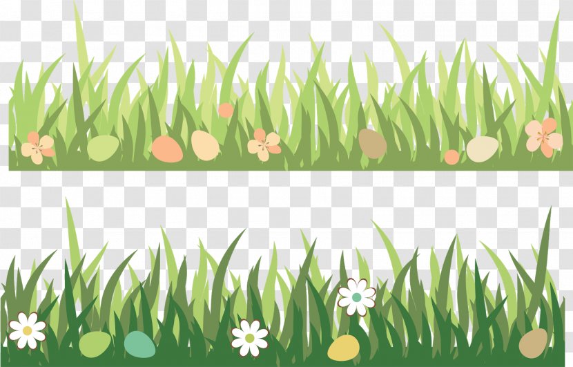 Green Grass Background - Terrestrial Plant - Flower Wheatgrass Transparent PNG