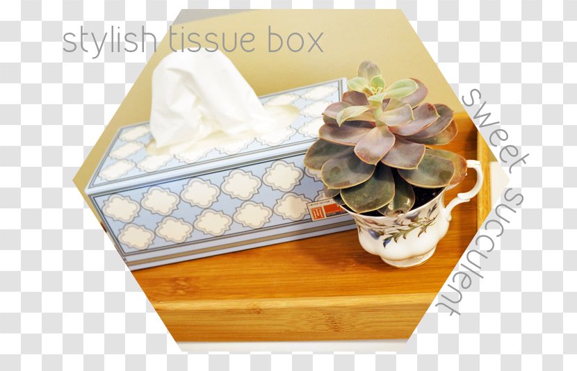 Plastic Material Room Budget Cup - Tray - Succulent Border Transparent PNG