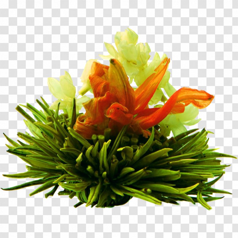 Flowering Tea Green Oolong Sencha - Room Transparent PNG