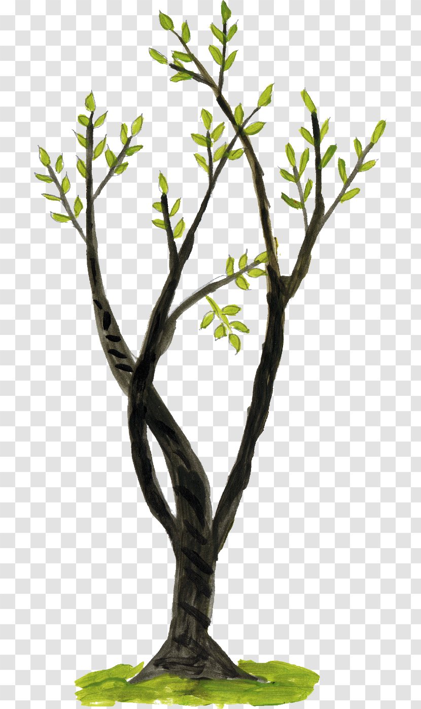 Branch Twig Tree - Plant - Doodle Transparent PNG