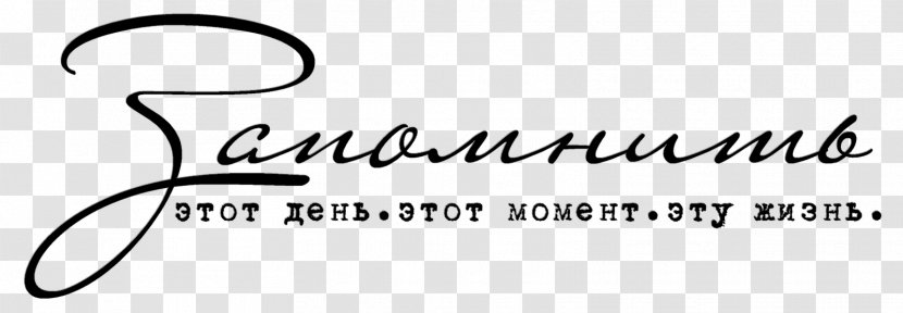Clip Art LiveInternet Blog Logo VKontakte - Author - Text Transparent PNG