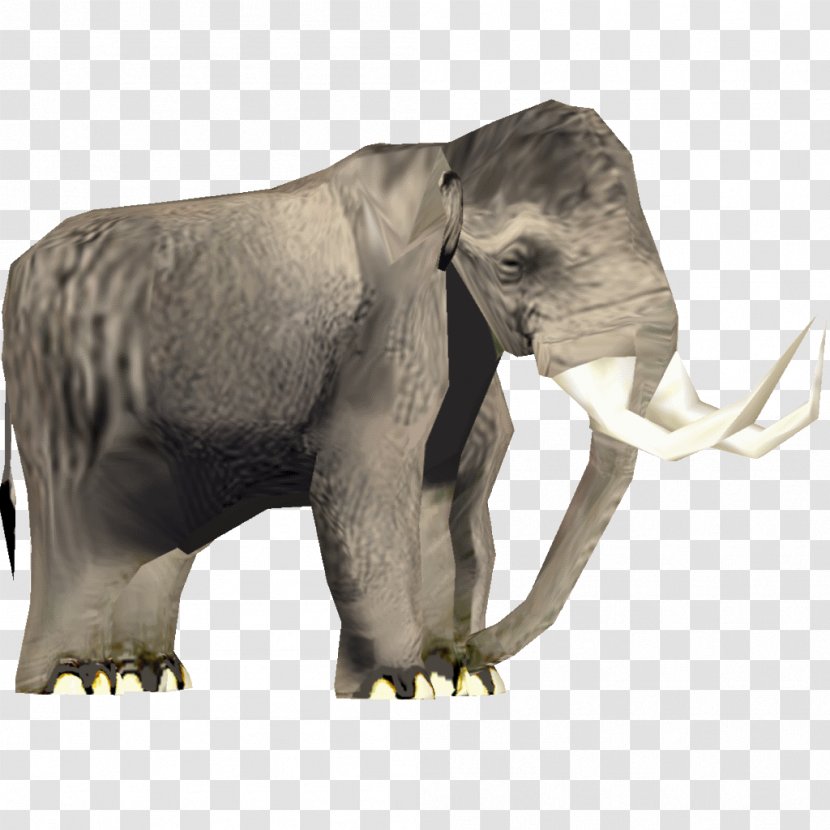 African Elephant Asian Mammuthus Meridionalis Steppe Mammoth Transparent PNG
