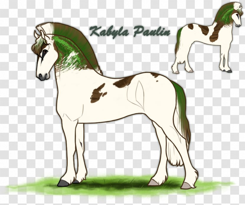 Foal Stallion Mare Colt Mustang - Grass Transparent PNG