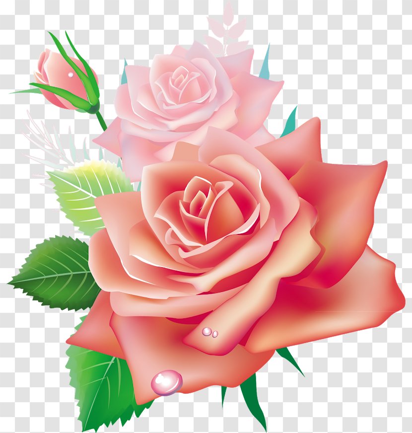 Garden Roses Flower Pink Clip Art - Rose - Colored Flowers Transparent PNG
