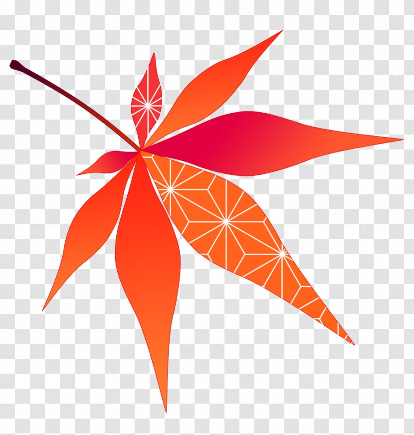 Maple Leaf Line Symmetry - Flower Transparent PNG