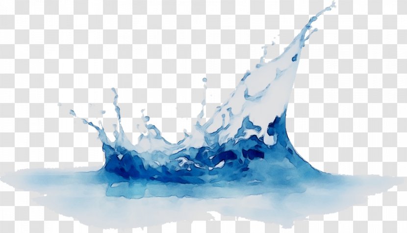 Water Resources Graphics Product Design Organism - Wave Transparent PNG