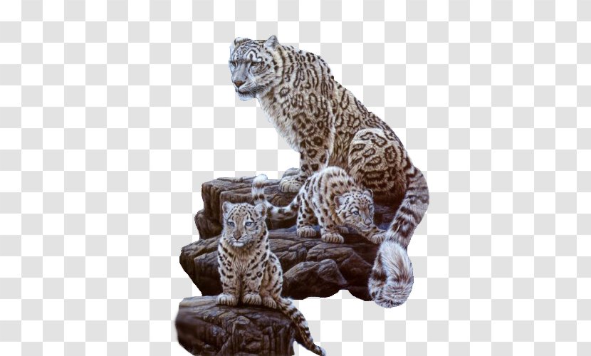 Snow Leopard Cat Tiger Cougar - Mom And Kids Transparent PNG