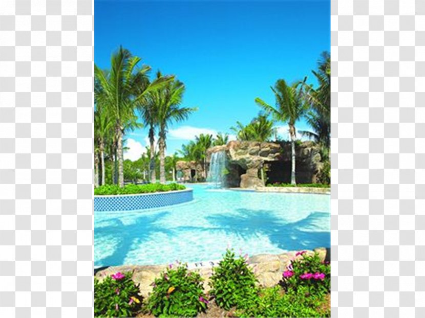 Hyatt Residence Club Bonita Springs, Coconut Plantation Resort - Springs - Hotel Transparent PNG