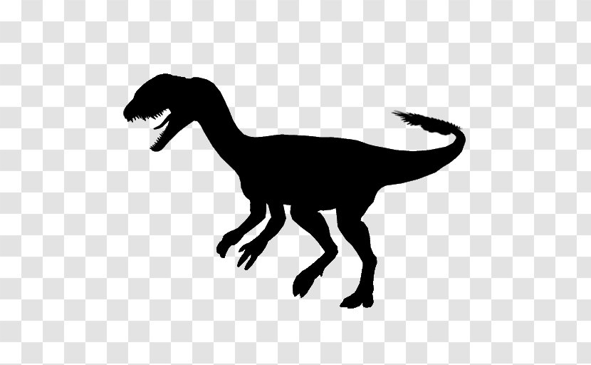 Velociraptor Tyrannosaurus Clip Art Fauna Silhouette Transparent PNG