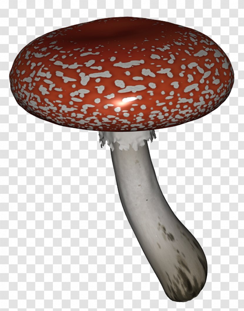 Mushroom Leaf Vegetable Vegetal Fungus - Seed Transparent PNG