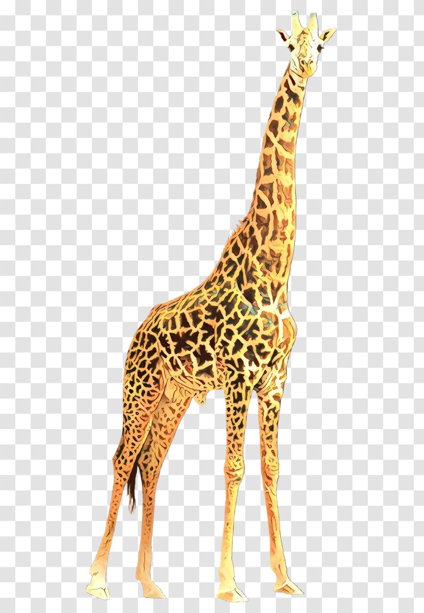 Giraffe Giraffidae Terrestrial Animal Wildlife Figure - Yellow - Fawn Neck Transparent PNG