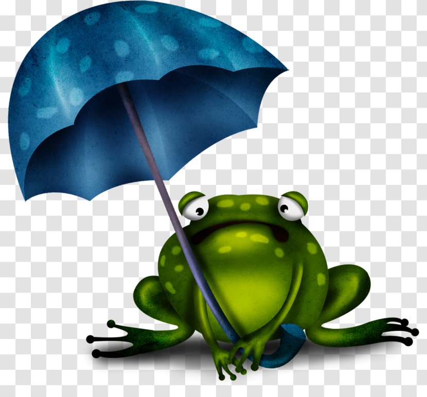 Edible Frog Amphibians Cartoon - Drawing - Rainy Season Transparent PNG