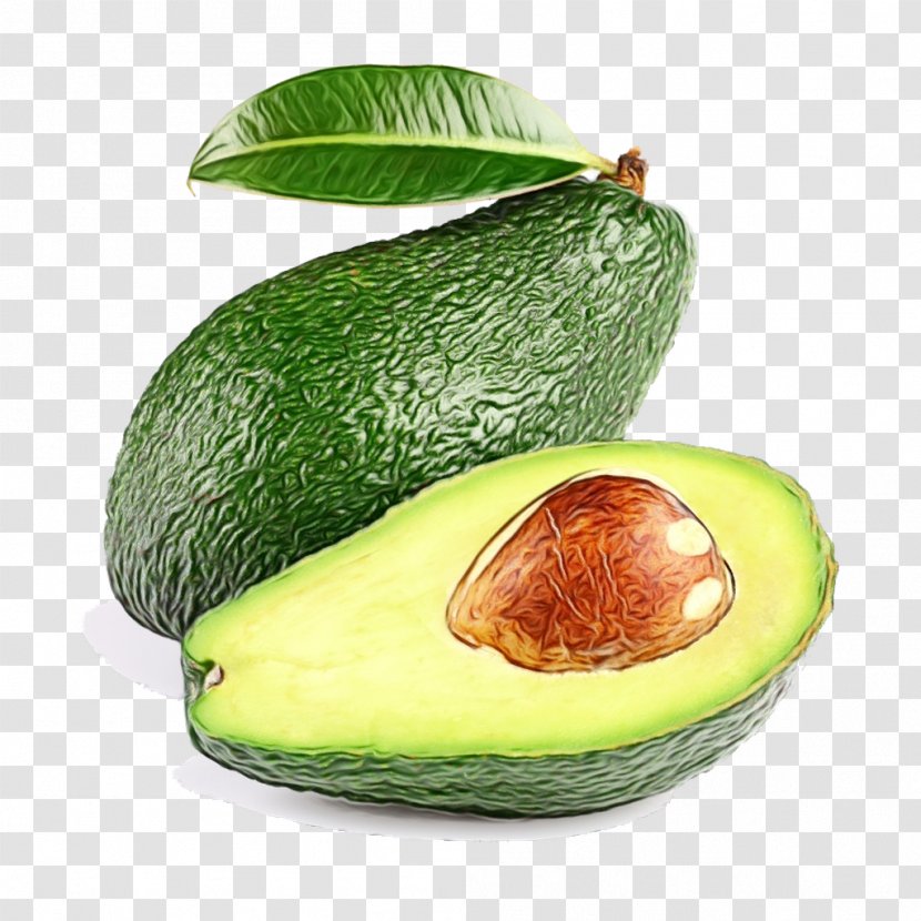 Avocado - Accessory Fruit - Ingredient Transparent PNG