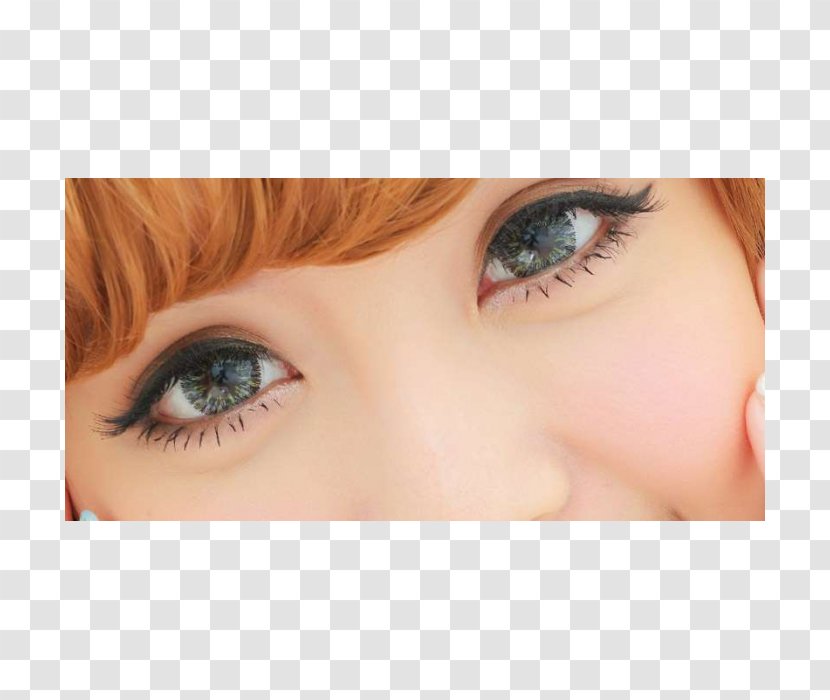 Eyelash Extensions Eye Shadow Liner Eyebrow Iris - Tree - Nose Transparent PNG