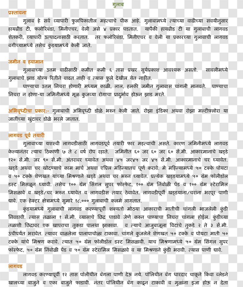 Document Line Hindi Letter Transparent PNG