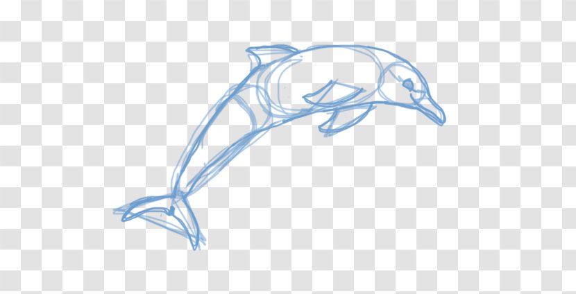 Dolphin Porpoise Drawing Sketch - Vertebrate Transparent PNG