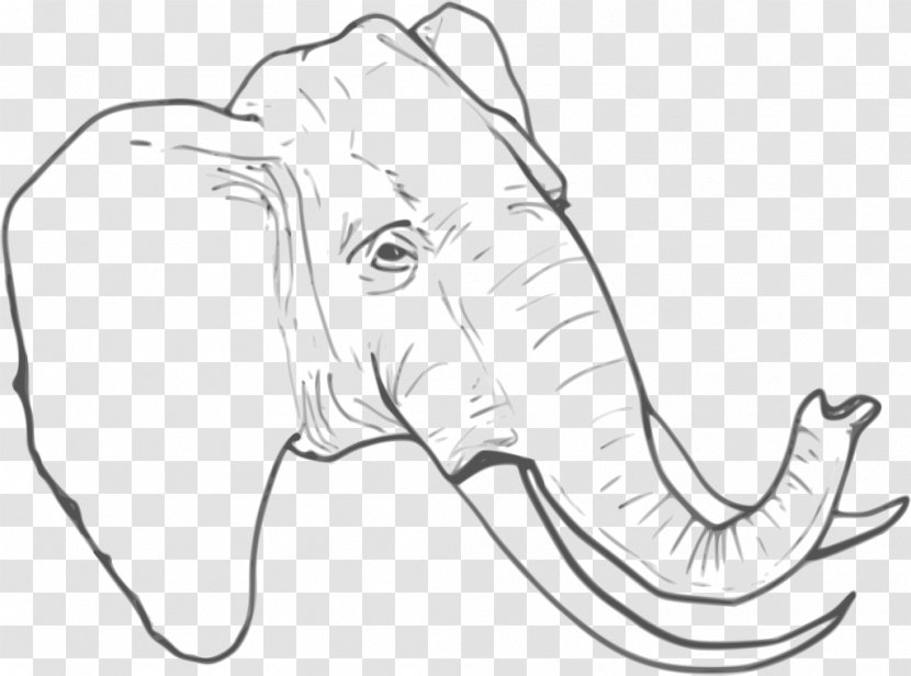 African Elephant Clip Art Drawing Vector Graphics Line - Elephants Transparent PNG