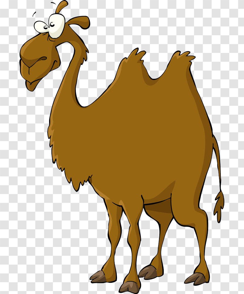 Bactrian Camel Cartoon Royalty-free Illustration - Humour - Hand Painted Transparent PNG