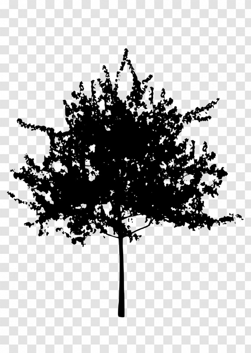 Tree Silhouette Clip Art - Monochrome - Trees Transparent PNG