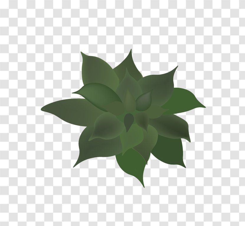 Leaf Flower - Flora Transparent PNG