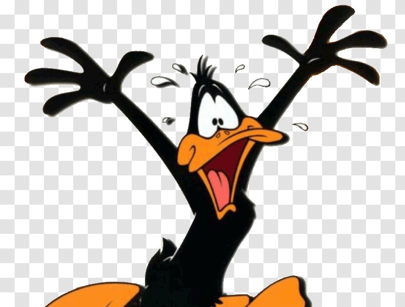 Daffy Duck Tasmanian Devil Bugs Bunny Donald - Wing - Pato Lucas Transparent PNG