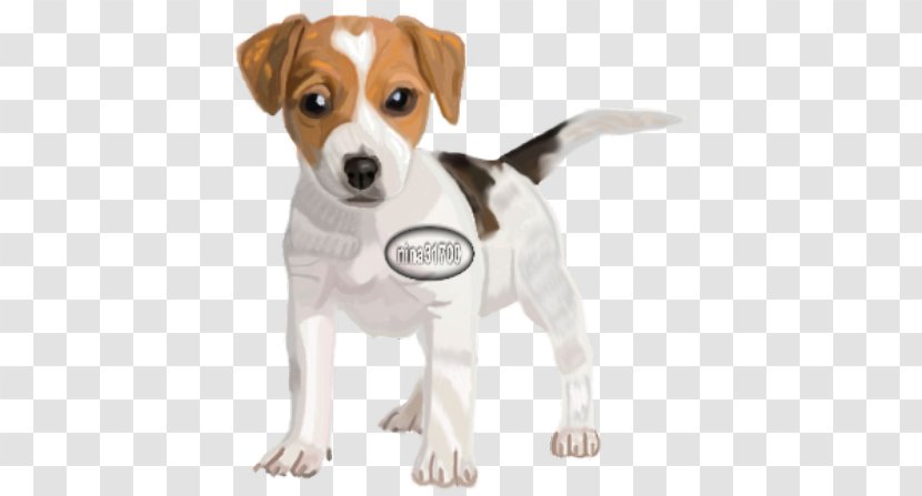 The Parson And Jack Russell Terriers Terrier Puppy - Mill - Russel Transparent PNG