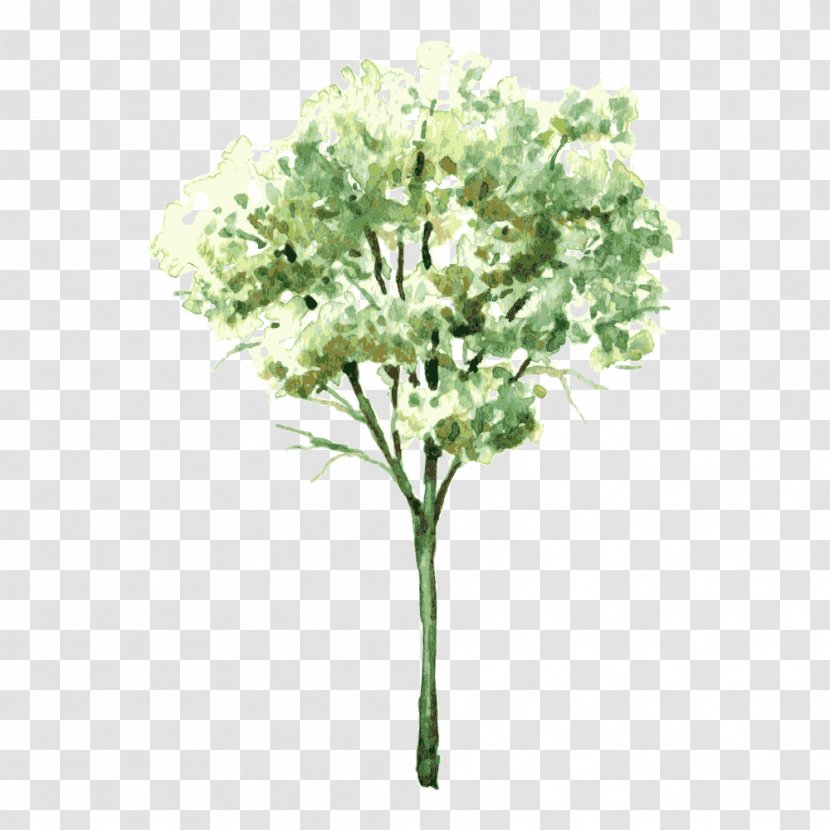 Watercolor Painting Drawing Shrub Tree - Tree,Trees Transparent PNG