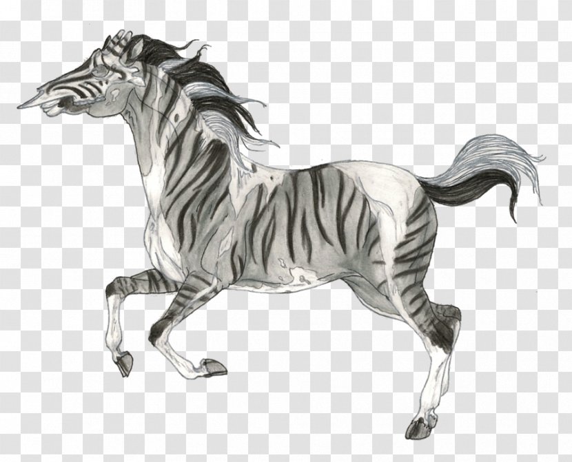 Mane Mustang Stallion Quagga Drawing Transparent PNG