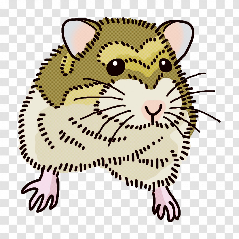 Whiskers Cat Dog Kitten Puppy Transparent PNG