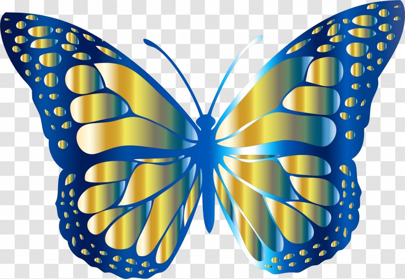 Monarch Butterfly Clip Art - Organism - Fly Transparent PNG