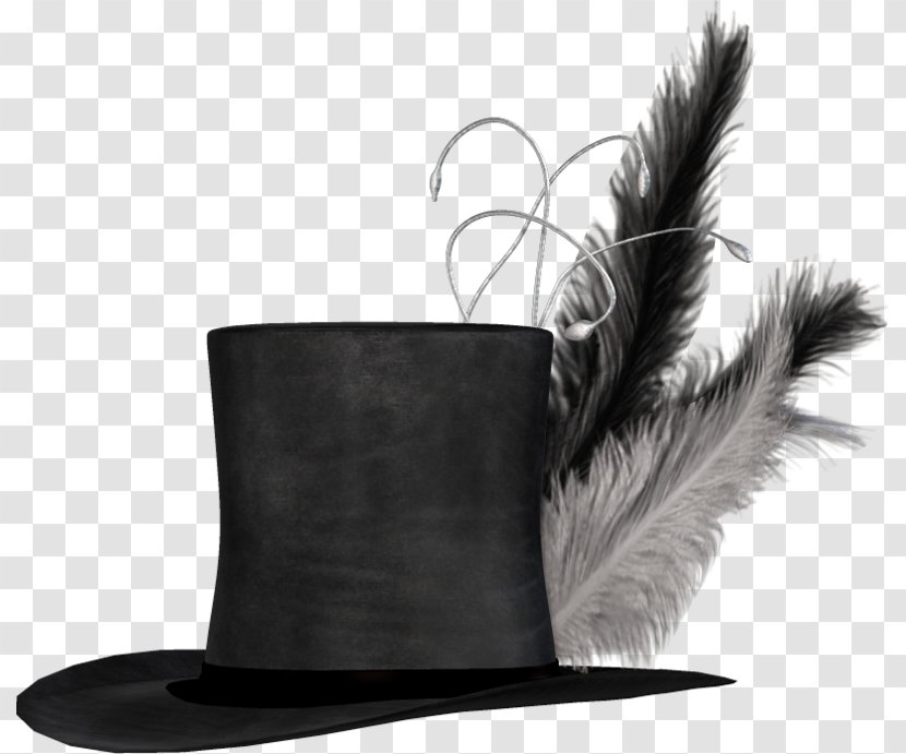 Hat Feather - Sombrero Transparent PNG