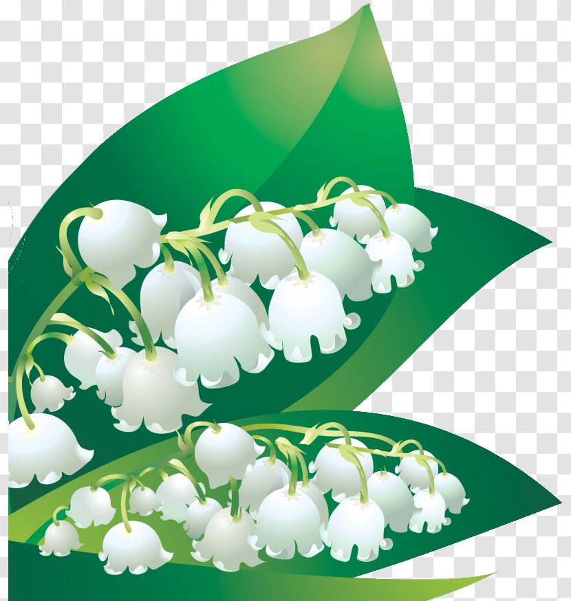 Kindergarten Parent Garden Roses Education - Flowering Plant - Week Transparent PNG