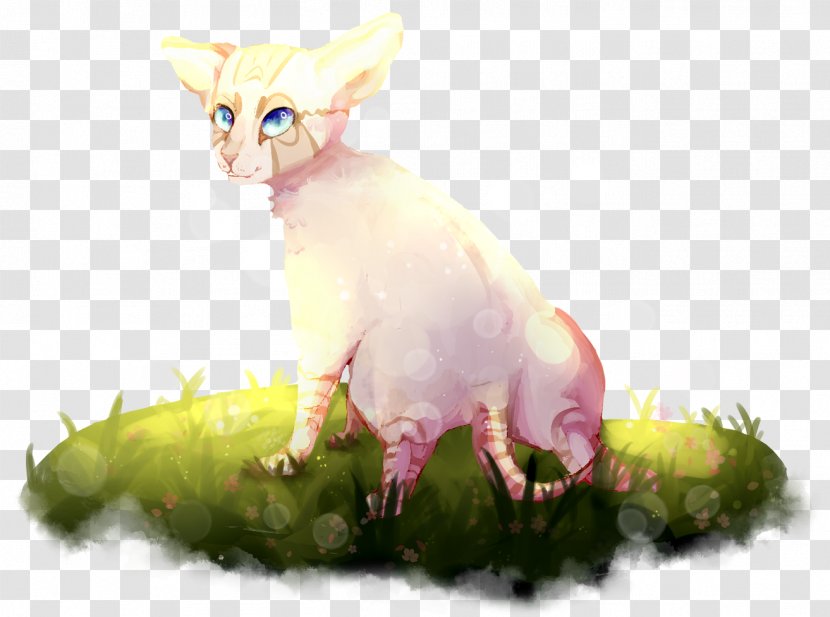 Kitten Whiskers Cat Character Tail Transparent PNG