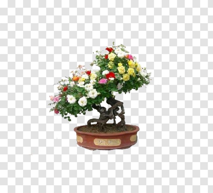 Chinese Sweet Plum Flowerpot Artificial Flower Tree - Sageretia Transparent PNG