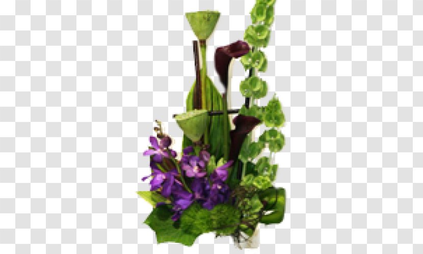 Arum-lily Cut Flowers Plant Stem Orchids - Callalily Transparent PNG