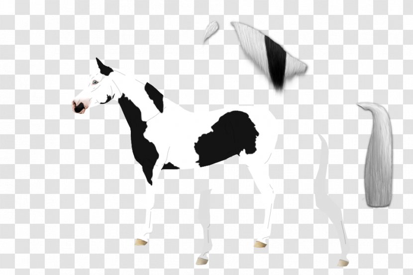 Horse White - Like Mammal Transparent PNG