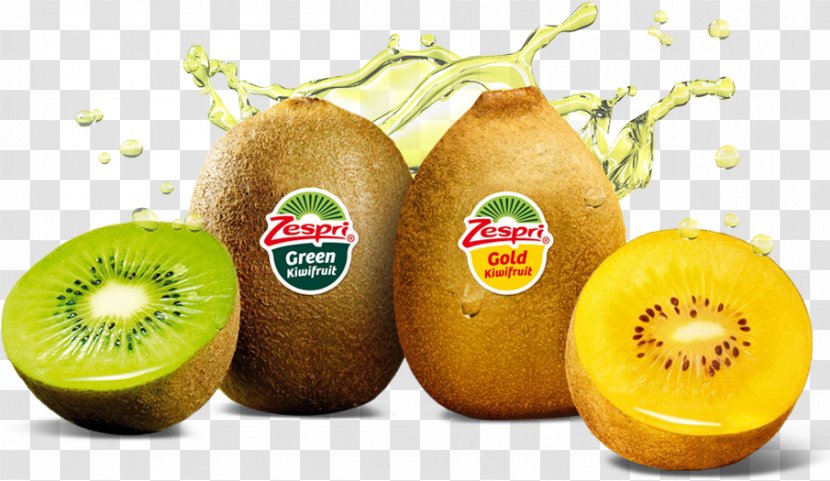 Kiwifruit Fruit Salad Vegetable Zespri International Limited - Kiwi Transparent PNG
