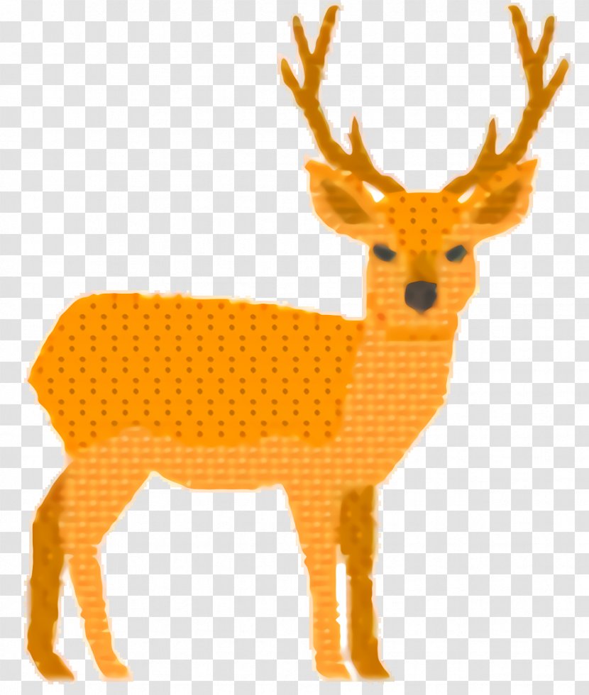 Orange Background - Whitetailed Deer - Fur Elk Transparent PNG