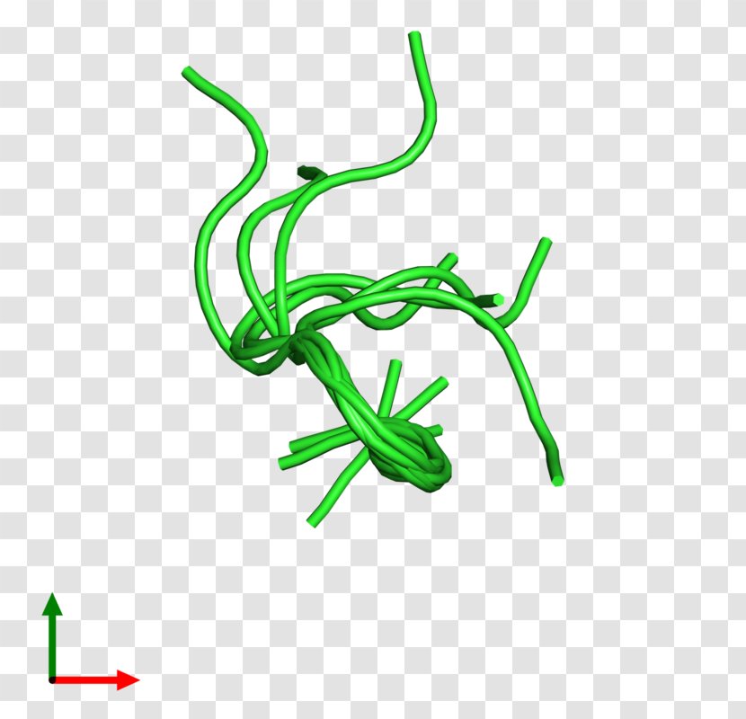 Leaf Plant Stem Clip Art - Organism Transparent PNG