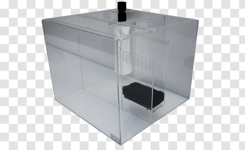 Trigger Systems Cube Sump Aquarium Refugium - Manufacturing - Coral Food Dosing Pump Transparent PNG