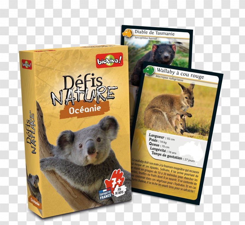 Bioviva Défis Nature Le Grand Jeu Board Game - Conservation - Cartes Transparent PNG