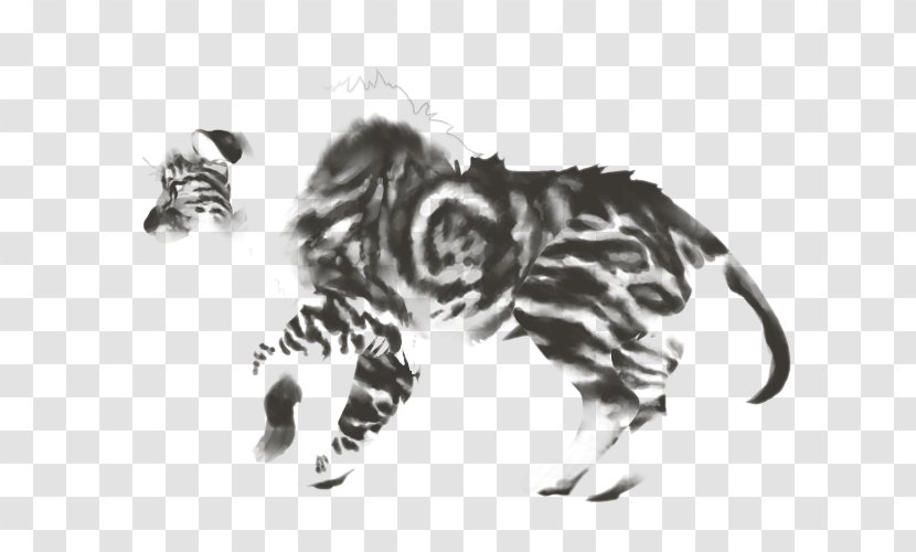 Cat Tiger Mammal Carnivora Animal - Horse - Sunset Lion Transparent PNG
