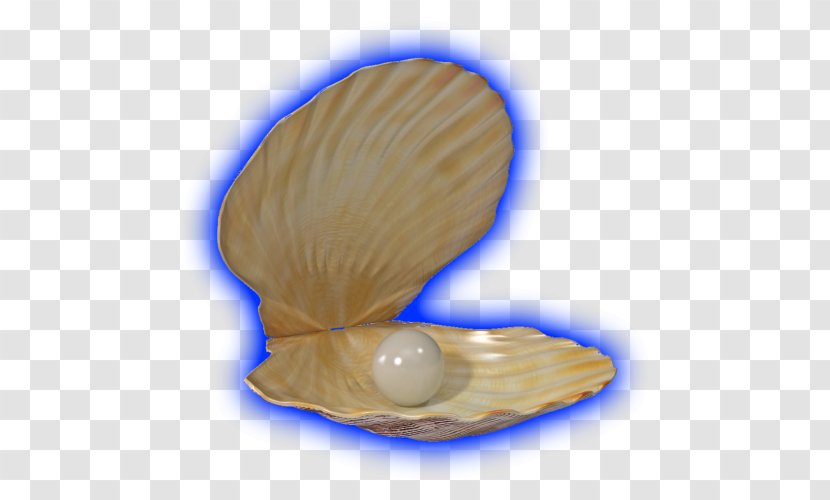 Clam Cockle Mussel Oyster Seashell - Organism - PEARL SHELL Transparent PNG