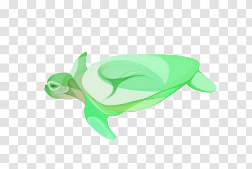 Green Sea Turtle - Organism - Little Painted Material Transparent PNG