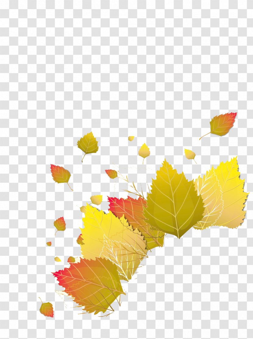 Red Maple Yellow Leaf Transparent PNG