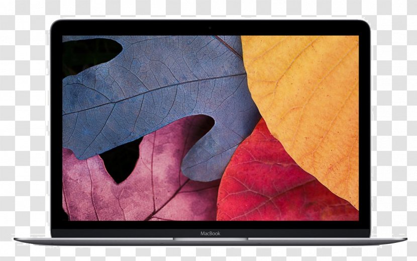 MacBook Pro Air Laptop Retina Display - Macbook Transparent PNG